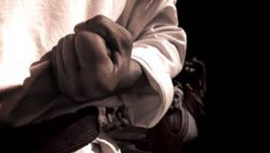 http://karateverenigingkanku.nl/wp-content/uploads/2018/02/Karate-1-300x170.png