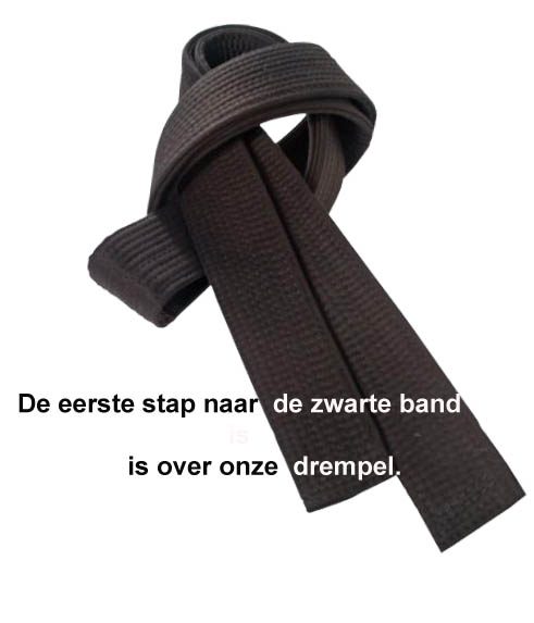 http://karateverenigingkanku.nl/wp-content/uploads/2018/02/Zwarte-band-over-drempel-NIEUW-1-491x573.jpg