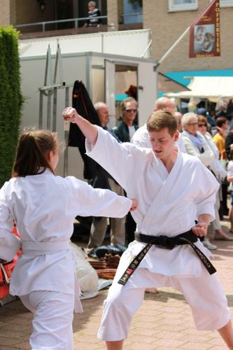 Karate demonstratie Kan-Ku 2016 (10)