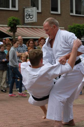 Karate demonstratie Kan-Ku 2016 (12)