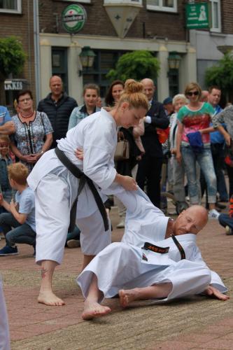 Karate demonstratie Kan-Ku 2016 (14)