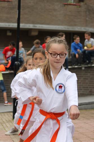 Karate demonstratie Kan-Ku 2016 (16)