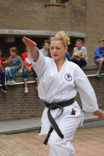 Karate demonstratie Kan-Ku 2016 (17)