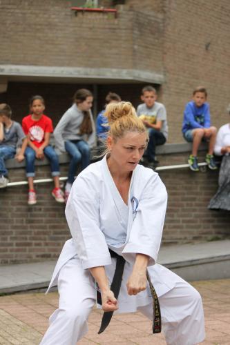 Karate demonstratie Kan-Ku 2016 (18)