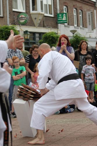 Karate demonstratie Kan-Ku 2016 (21)