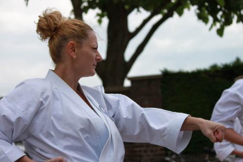 Karate demonstratie Kan-Ku 2016 (5)