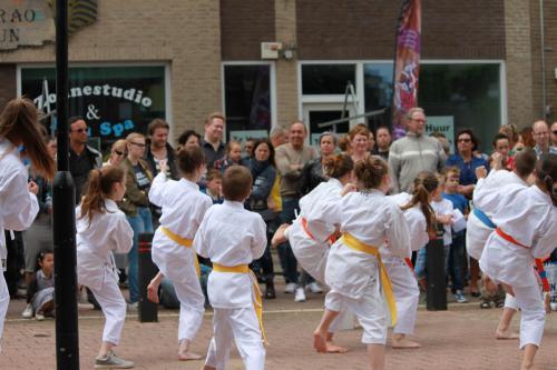 Karate demonstratie Kan-Ku 2016 (7)