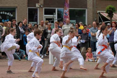 Karate demonstratie Kan-Ku 2016 (8)
