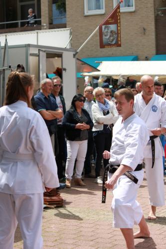 Karate demonstratie Kan-Ku 2016 (9)